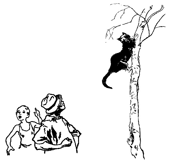 Кот-ворюга